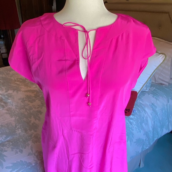 C. Wonder Bright Pink/Fuchsia Silk Dress with Slip - Picture 4 of 16